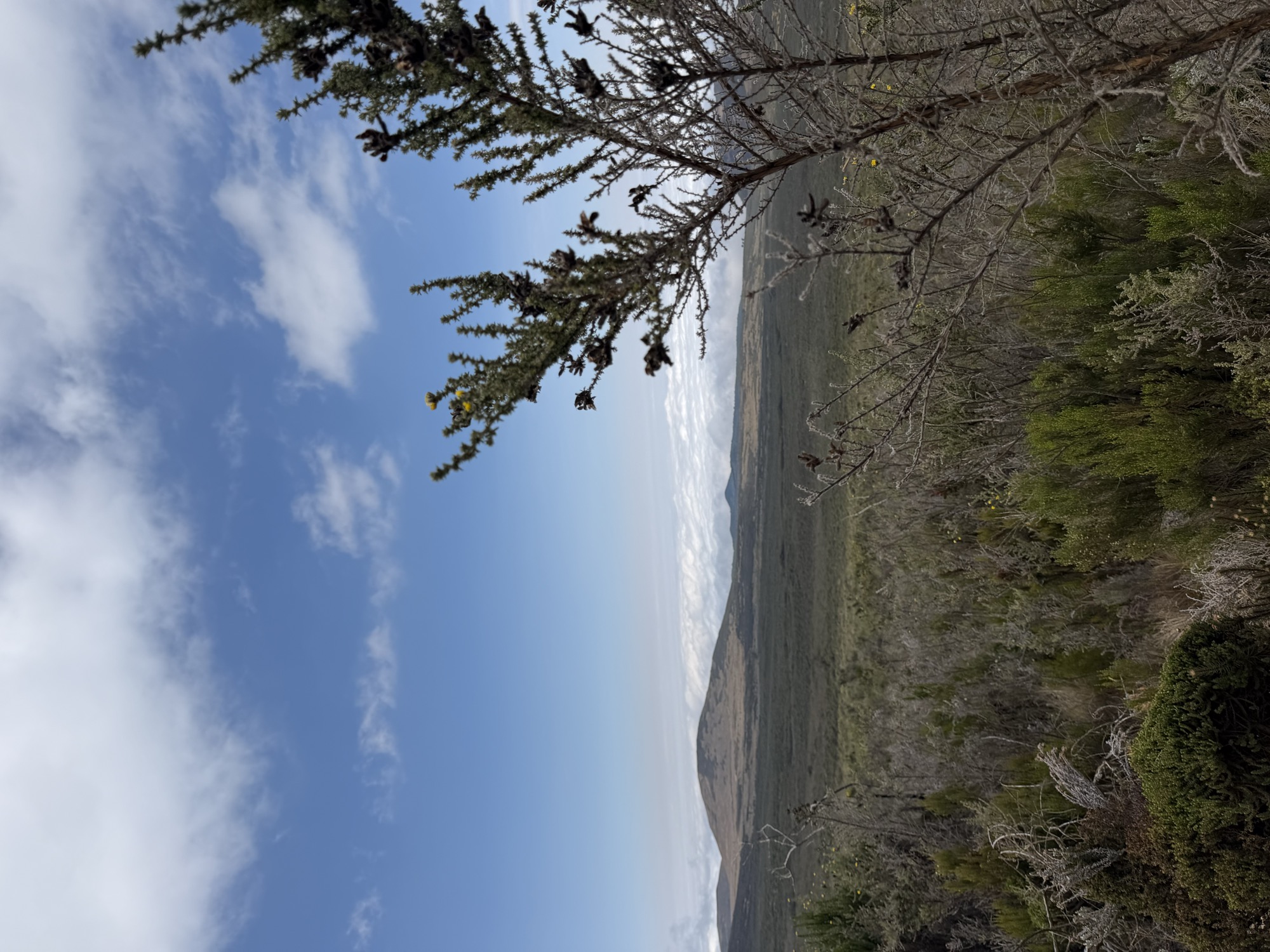 Marangu Route — scenery from the route